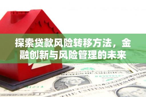 南丹探索贷款风险转移方法，金融创新与风险管理的未来