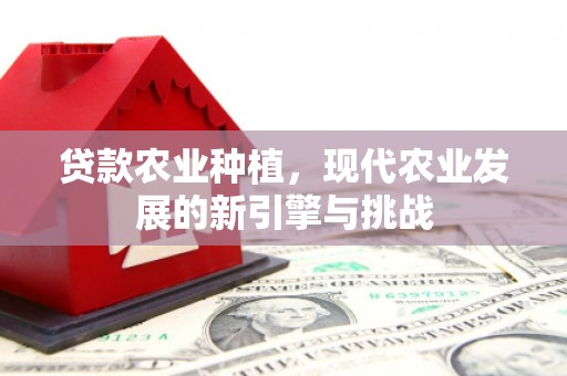 南丹贷款农业种植，现代农业发展的新引擎与挑战