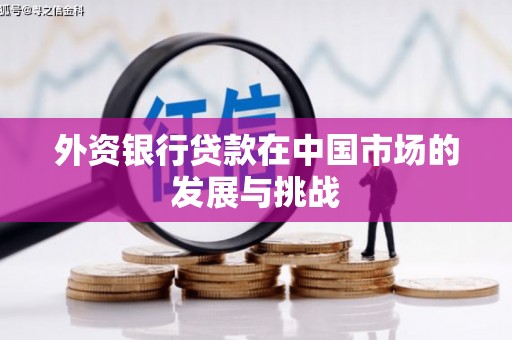 南丹外资银行贷款在中国市场的发展与挑战