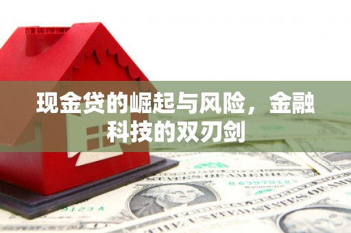 南丹现金贷的崛起与风险，金融科技的双刃剑