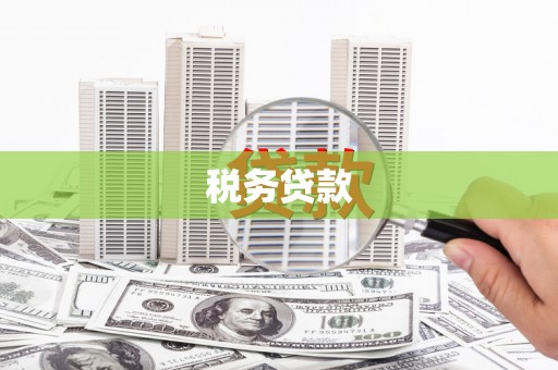 南丹税务贷款