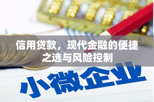 南丹信用贷款，现代金融的便捷之选与风险控制