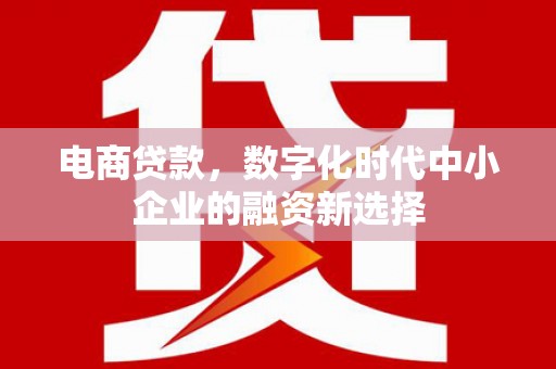 南丹电商贷款，数字化时代中小企业的融资新选择