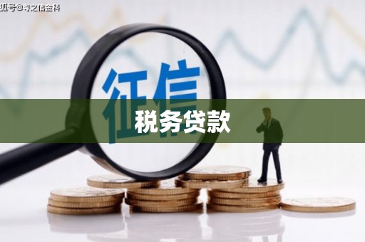 南丹税务贷款