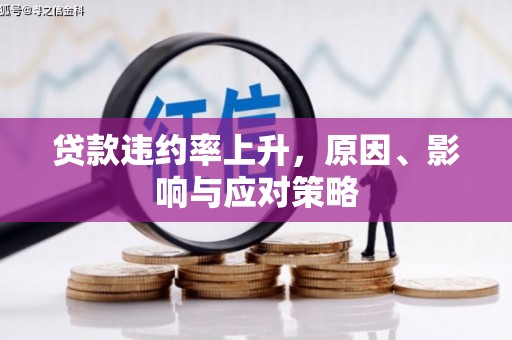 南丹贷款违约率上升，原因、影响与应对策略