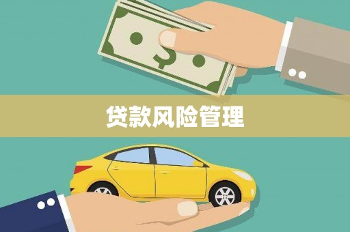 南丹贷款风险管理