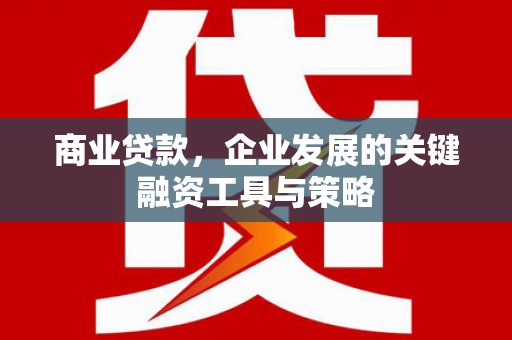 南丹商业贷款，企业发展的关键融资工具与策略