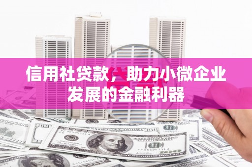 南丹信用社贷款，助力小微企业发展的金融利器