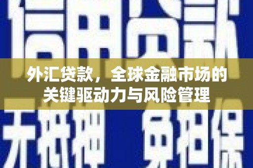 南丹外汇贷款，全球金融市场的关键驱动力与风险管理