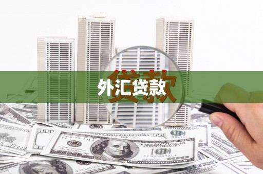 南丹外汇贷款