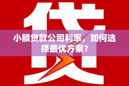 南丹小额贷款公司利率，如何选择最优方案？