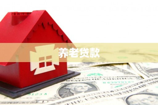 南丹养老贷款