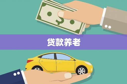 南丹贷款养老