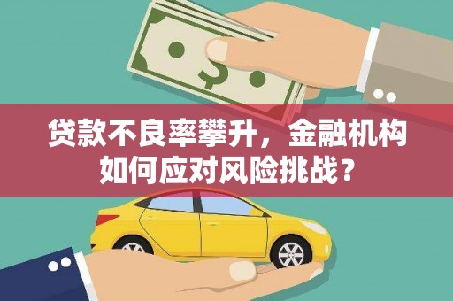南丹贷款不良率攀升，金融机构如何应对风险挑战？