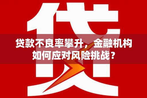 南丹贷款不良率攀升，金融机构如何应对风险挑战？