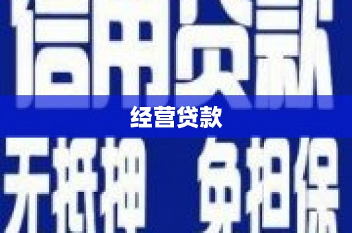 南丹经营贷款