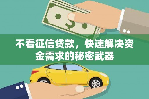 南丹不看征信贷款，快速解决资金需求的秘密武器