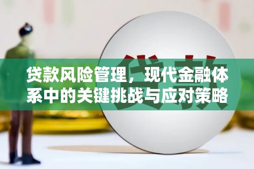南丹贷款风险管理，现代金融体系中的关键挑战与应对策略