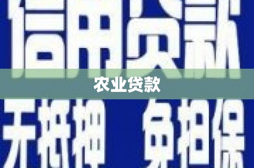 南丹农业贷款
