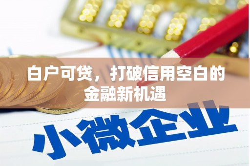 南丹白户可贷，打破信用空白的金融新机遇