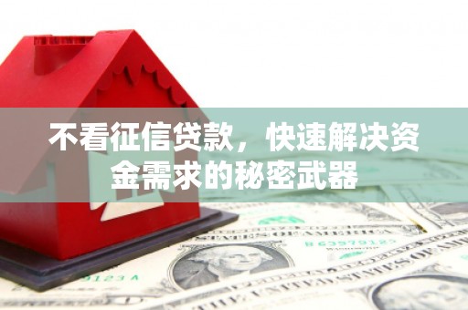 南丹不看征信贷款，快速解决资金需求的秘密武器