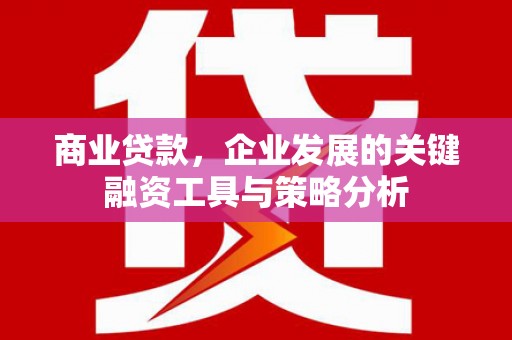 南丹商业贷款，企业发展的关键融资工具与策略分析