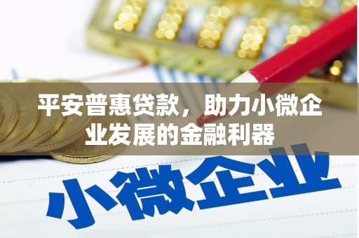 南丹平安普惠贷款，助力小微企业发展的金融利器