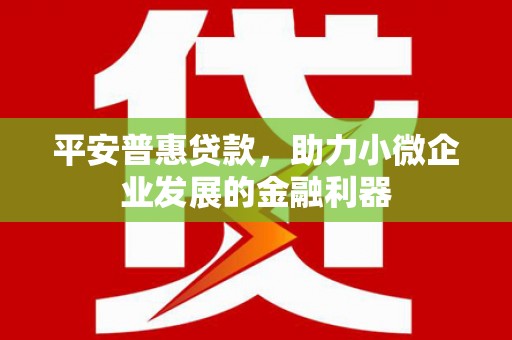 南丹平安普惠贷款，助力小微企业发展的金融利器