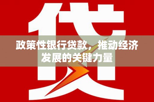 南丹政策性银行贷款，推动经济发展的关键力量