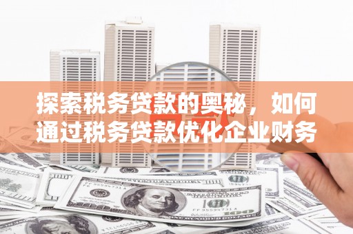 南丹探索税务贷款的奥秘，如何通过税务贷款优化企业财务
