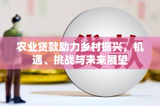 南丹农业贷款助力乡村振兴，机遇、挑战与未来展望