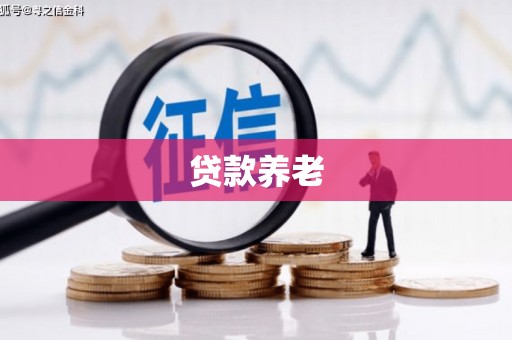 南丹贷款养老