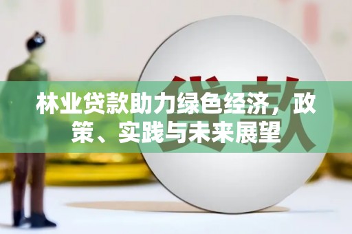 南丹林业贷款助力绿色经济，政策、实践与未来展望