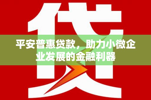 南丹平安普惠贷款，助力小微企业发展的金融利器