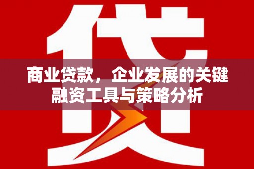 南丹商业贷款，企业发展的关键融资工具与策略分析