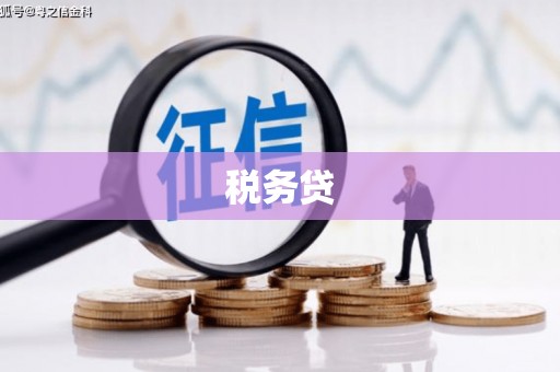 南丹税务贷