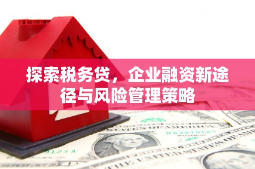 南丹探索税务贷，企业融资新途径与风险管理策略
