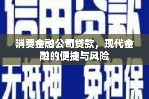 南丹消费金融公司贷款，现代金融的便捷与风险