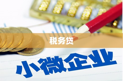 南丹税务贷