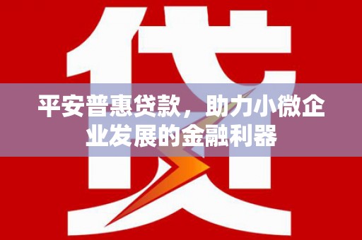 南丹平安普惠贷款，助力小微企业发展的金融利器