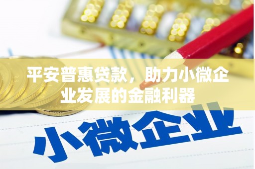 南丹平安普惠贷款，助力小微企业发展的金融利器