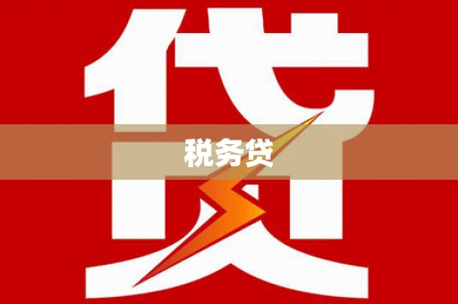 南丹税务贷