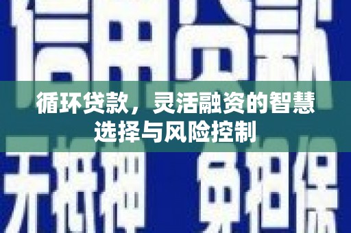 南丹循环贷款，灵活融资的智慧选择与风险控制