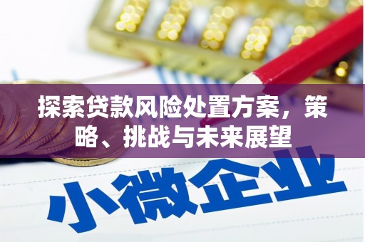 南丹探索贷款风险处置方案，策略、挑战与未来展望