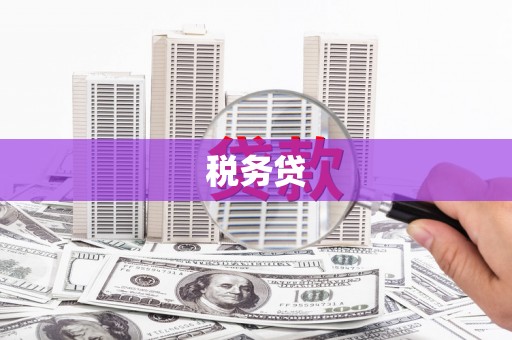 南丹税务贷