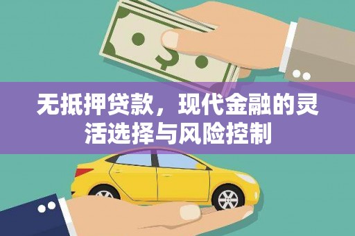 南丹无抵押贷款，现代金融的灵活选择与风险控制