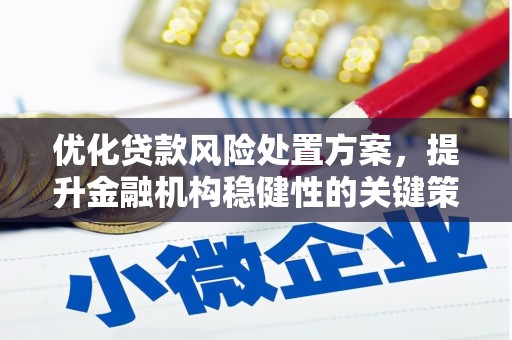 南丹优化贷款风险处置方案，提升金融机构稳健性的关键策略