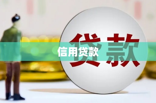 南丹信用贷款