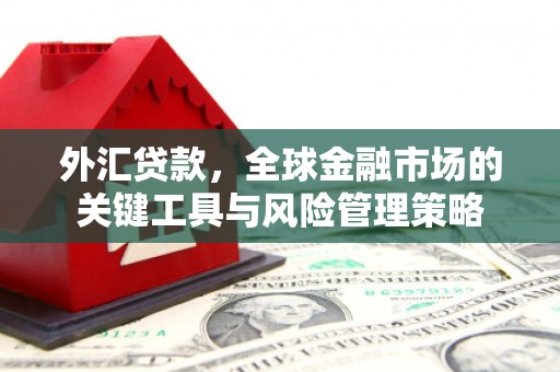 南丹外汇贷款，全球金融市场的关键工具与风险管理策略