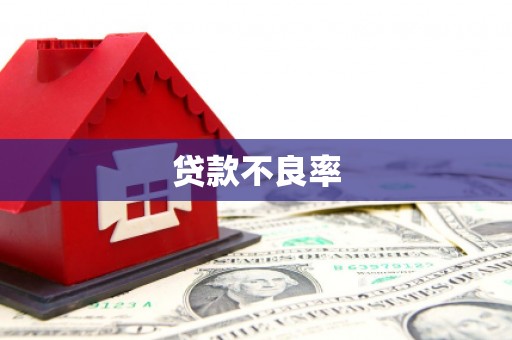 南丹贷款不良率